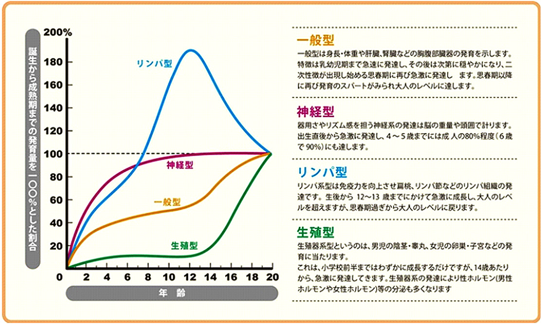 ジュニアの運動能力向上グラフ