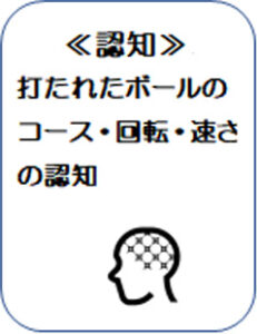 打たれたボールのコース・回転・速さの認知